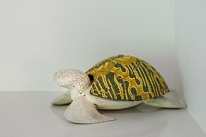 Tranquility Chill at Palm Cove