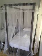 Villa Coconut - Hostel