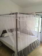 Villa Coconut - Hostel