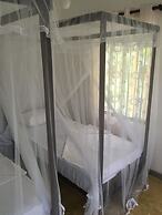 Villa Coconut - Hostel