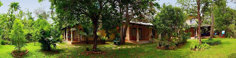 Villa Coconut - Hostel