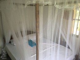 Villa Coconut - Hostel