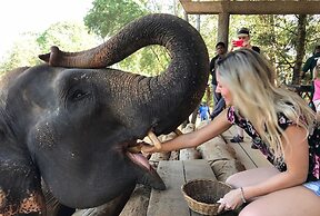 Villa Coconut - Hostel