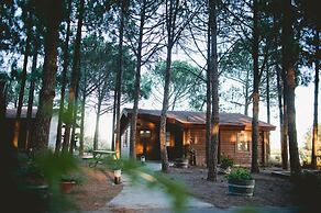 Kibbutz Ortal Tourism
