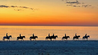 Lofoten Links Lodges
