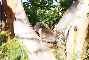 Apollo Panorama Guesthouse