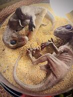 Villa From Okinawa - Condominium