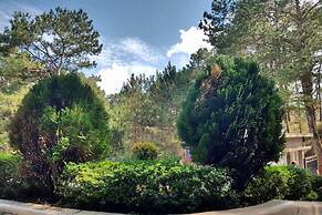 4F8 Princeton bldg North Cambridge Condo