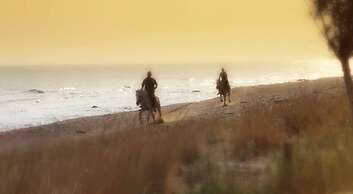 Paradise Island Villas