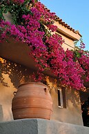 Paradise Island Villas