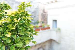 Castromediano Suite Palace