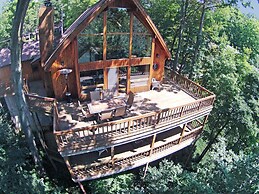 Tree House