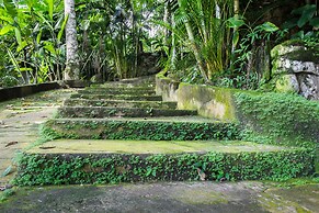 Albergue La Jungla