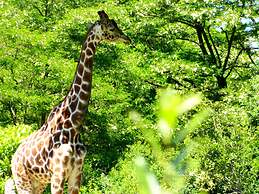 Capitol Hill Apartments