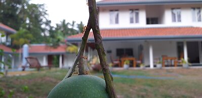 Anuhas Airport Villas