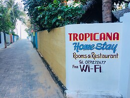Tropicana homestay