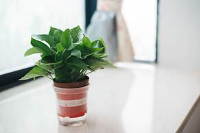 Zhangjiajie Shi Guang Zhi Wai Boutique Hotel