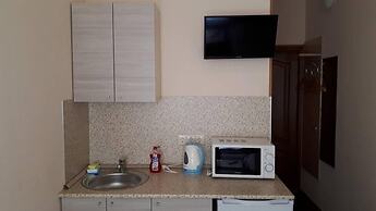 Rinaldi by the Mariinsky Theatre