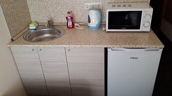 Rinaldi by the Mariinsky Theatre