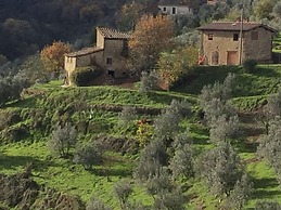 Ventena Vecchia Antico Frantoio