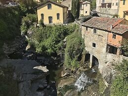 Ventena Vecchia Antico Frantoio