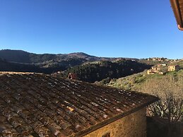 Ventena Vecchia Antico Frantoio