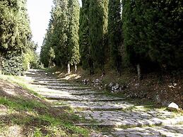 Ventena Vecchia Antico Frantoio