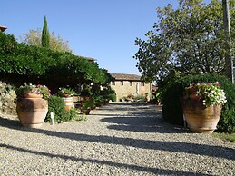 Ventena Vecchia Antico Frantoio
