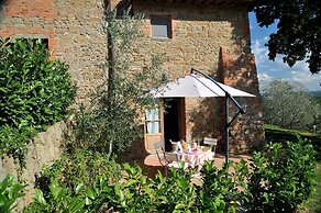 Ventena Vecchia Antico Frantoio