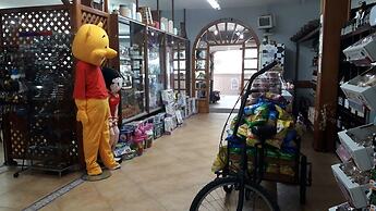 Hostal Nuevo Montesol