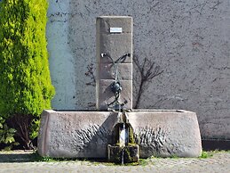 Hofgarten Rosa