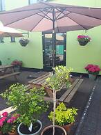 Olive Tree Guest House