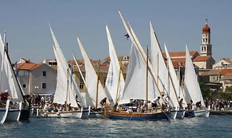 Murter Voltera