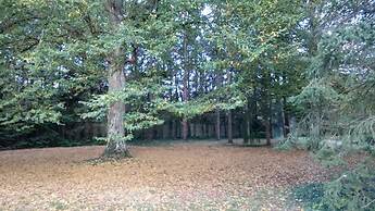 La Passagère