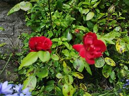 Townsend House Guest House