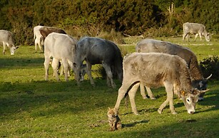 Agriturismo La Valentina Nuova