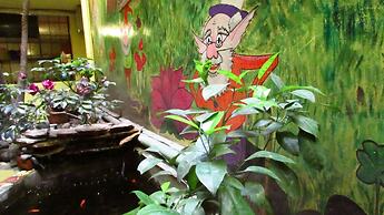 Secret Garden - Hostel