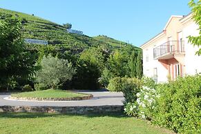 Hôtel Le Domaine des Vignes