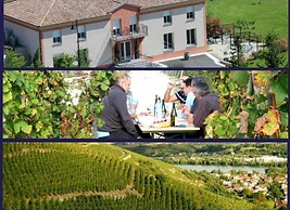 Hôtel Le Domaine des Vignes