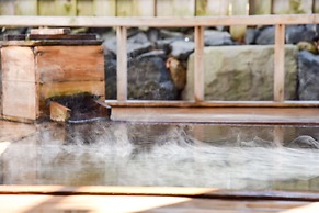 Honjin No Yado Yanagi No Yu