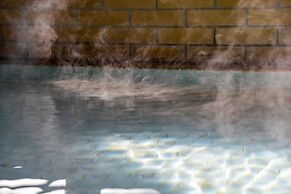 Honjin No Yado Yanagi No Yu