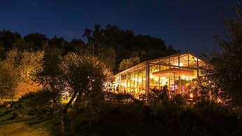 Terre di Baccio