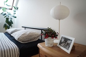 Attic Flat With Amazing Terrace