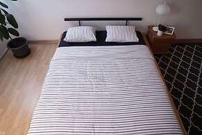 Attic Flat With Amazing Terrace