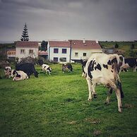 Casa do Pequeno Dragoeiro