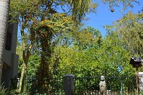 African Palm Cottage