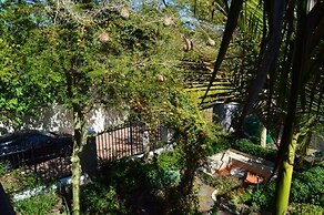 African Palm Cottage