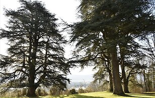 Château de Varambon
