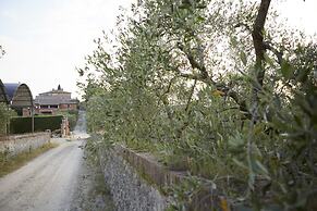 Azienda Agricola Montestigliano