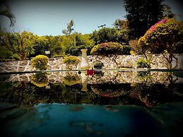 Piedras De Sol Solaris